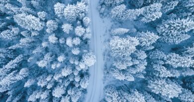 best winter resorts in Michigan