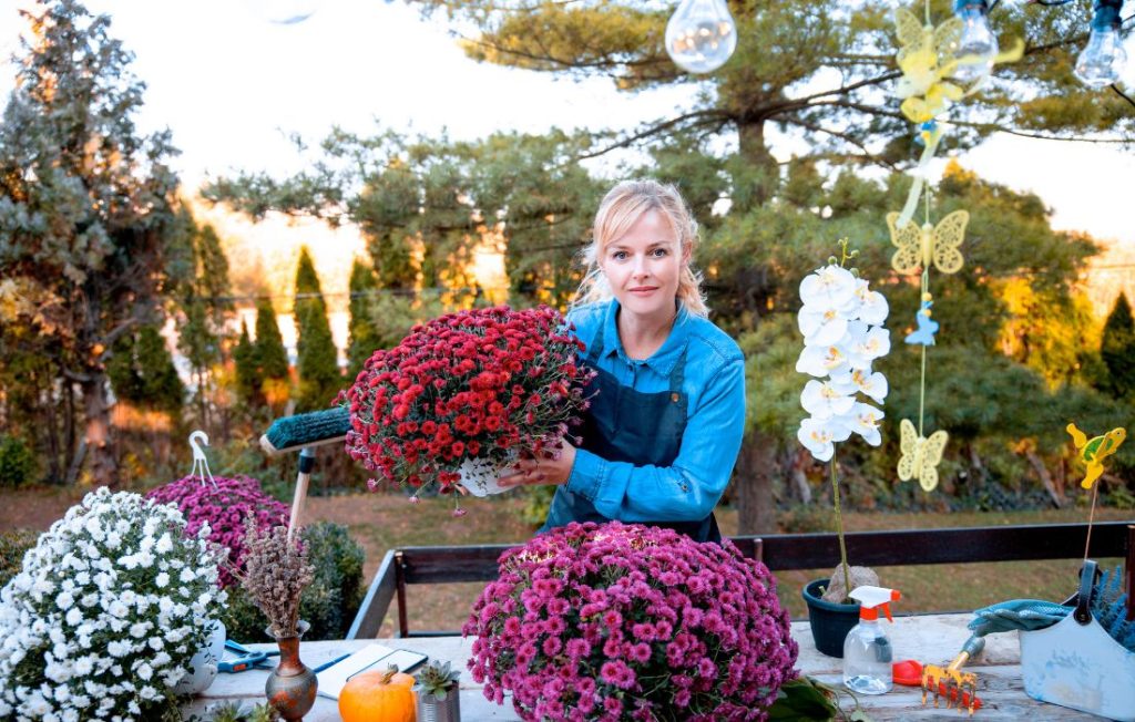 flower subscription