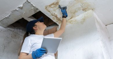 storm damage insurance adjuster