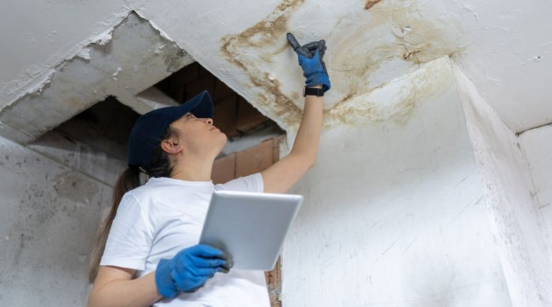 storm damage insurance adjuster