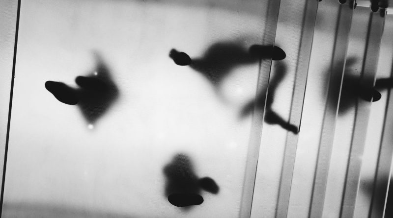 structural glass floor